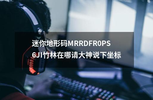 迷你地形码MRRDFR0PS6JI竹林在哪请大神说下坐标-第1张-游戏信息-龙启网