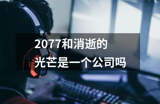 2077和消逝的光芒是一个公司吗-第1张-游戏信息-龙启网