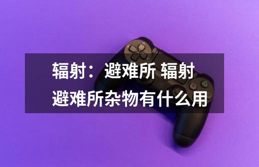 辐射:避难所 辐射避难所杂物有什么用-第1张-游戏信息-龙启网