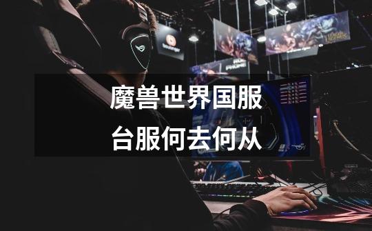 魔兽世界国服台服何去何从-第1张-游戏信息-龙启网