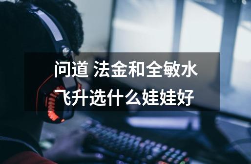 问道 法金和全敏水飞升选什么娃娃好-第1张-游戏信息-龙启网