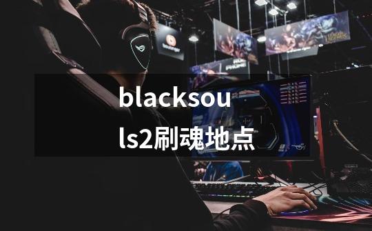 blacksouls2刷魂地点-第1张-游戏信息-龙启网