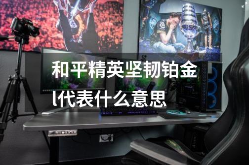 和平精英坚韧铂金l代表什么意思-第1张-游戏信息-龙启网