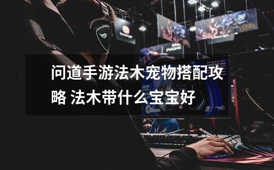 问道手游法木宠物搭配攻略 法木带什么宝宝好-第1张-游戏信息-龙启网