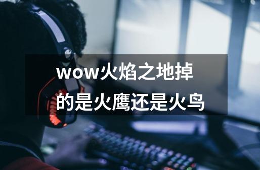 wow火焰之地掉的是火鹰还是火鸟-第1张-游戏信息-龙启网