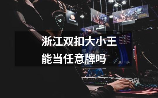 浙江双扣大小王能当任意牌吗-第1张-游戏信息-龙启网