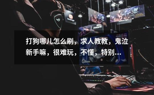 打狗哪儿怎么刷,求人教教,鬼泣新手嘛,很难玩,不懂,特别是过王的遗迹-第1张-游戏信息-龙启网