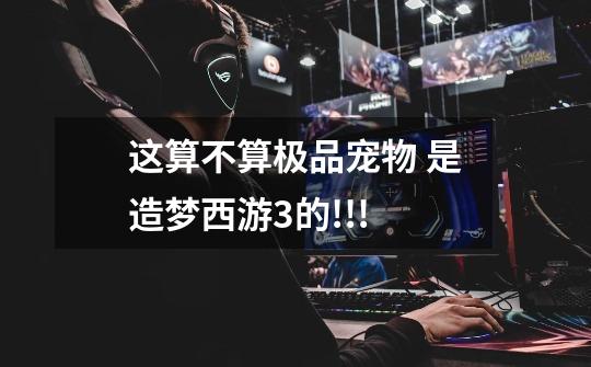 这算不算极品宠物 是造梦西游3的!!!-第1张-游戏信息-龙启网