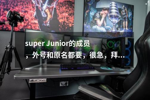 super Junior的成员，外号和原名都要，很急，拜托-第1张-游戏信息-龙启网