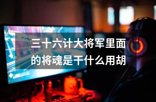 三十六计大将军里面的将魂是干什么用胡-第1张-游戏信息-龙启网