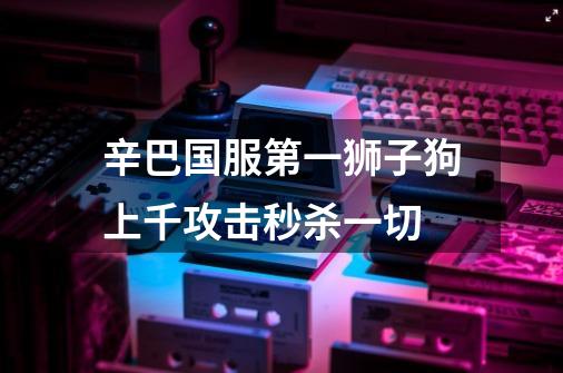 辛巴国服第一狮子狗上千攻击秒杀一切-第1张-游戏信息-龙启网
