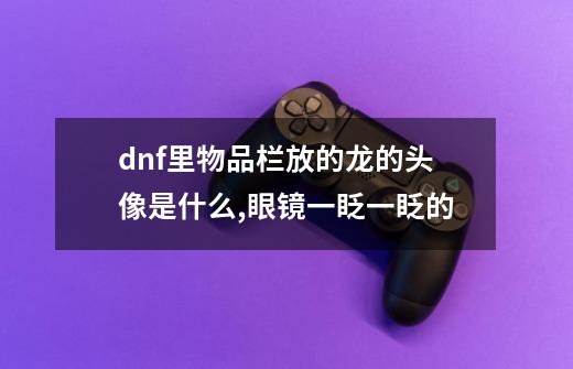 dnf里物品栏放的龙的头像是什么,眼镜一眨一眨的-第1张-游戏信息-龙启网