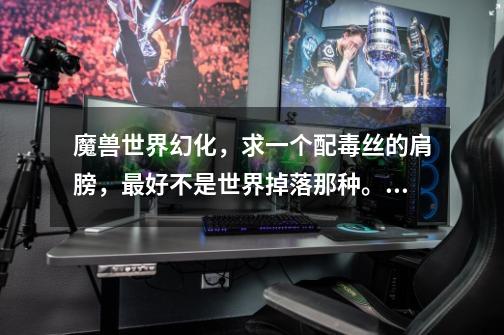 魔兽世界幻化，求一个配毒丝的肩膀，最好不是世界掉落那种。。。。-第1张-游戏信息-龙启网