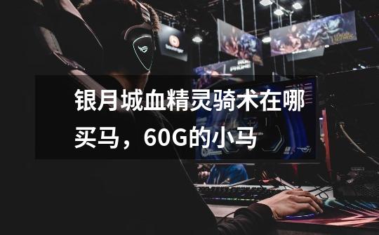 银月城血精灵骑术在哪买马，60G的小马-第1张-游戏信息-龙启网