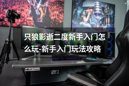 只狼影逝二度新手入门怎么玩-新手入门玩法攻略-第1张-游戏信息-龙启网