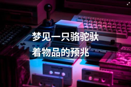 梦见一只骆驼驮着物品的预兆-第1张-游戏信息-龙启网