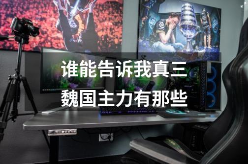 谁能告诉我真三魏国主力有那些-第1张-游戏信息-龙启网