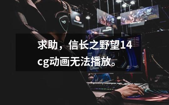 求助,信长之野望14cg动画无法播放。-第1张-游戏信息-龙启网