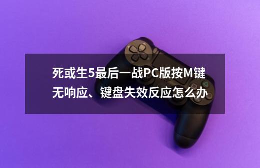 死或生5最后一战PC版按M键无响应、键盘失效反应怎么办-第1张-游戏信息-龙启网