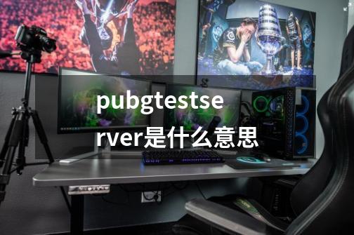 pubgtestserver是什么意思-第1张-游戏信息-龙启网