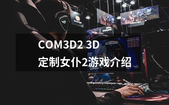 COM3D2 3D定制女仆2游戏介绍-第1张-游戏信息-龙启网