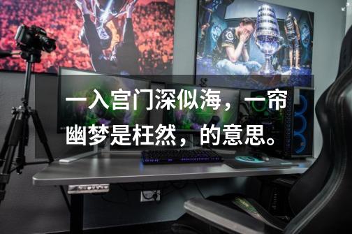 一入宫门深似海,一帘幽梦是枉然,的意思。-第1张-游戏信息-龙启网