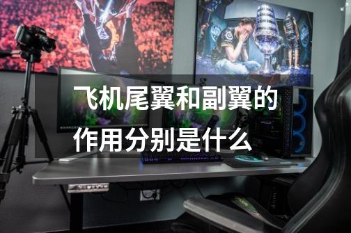 飞机尾翼和副翼的作用分别是什么-第1张-游戏信息-龙启网