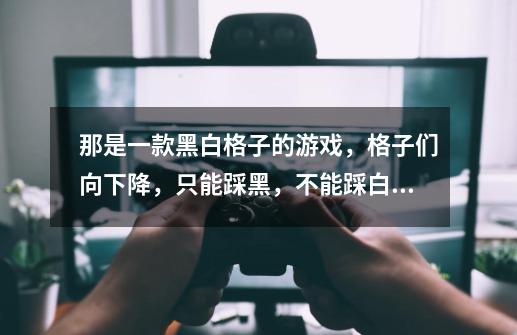 那是一款黑白格子的游戏,格子们向下降,只能踩黑,不能踩白格子,踩到白格子,游戏就结束了-第1张-游戏信息-龙启网