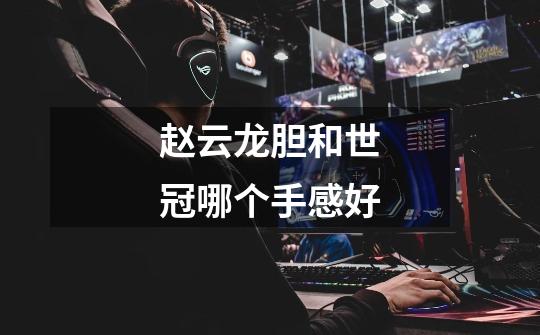赵云龙胆和世冠哪个手感好-第1张-游戏信息-龙启网