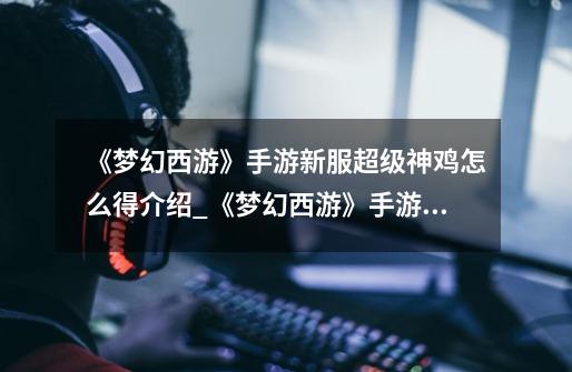《梦幻西游》手游新服超级神鸡怎么得介绍_《梦幻西游》手游新服超级神鸡怎么得是什么-第1张-游戏信息-龙启网