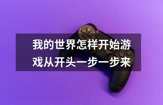 我的世界怎样开始游戏从开头一步一步来-第1张-游戏信息-龙启网