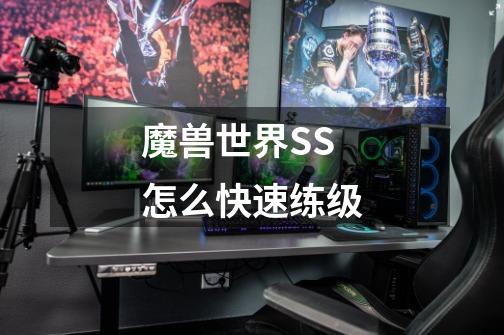魔兽世界SS怎么快速练级-第1张-游戏信息-龙启网