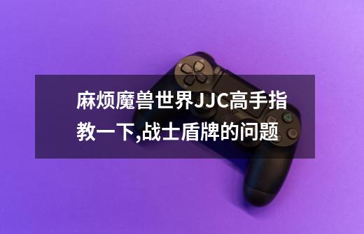 麻烦魔兽世界JJC高手指教一下,战士盾牌的问题.-第1张-游戏信息-龙启网