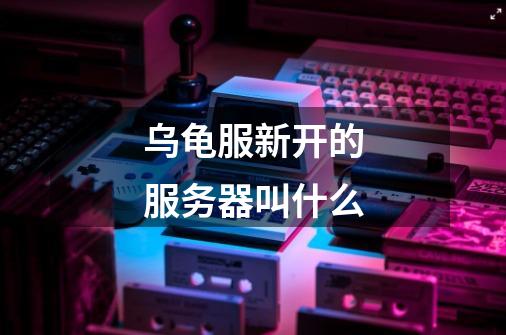 乌龟服新开的服务器叫什么-第1张-游戏信息-龙启网