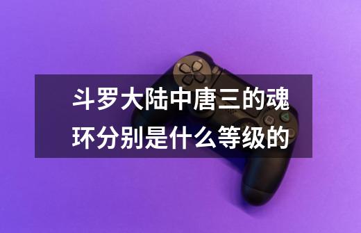 斗罗大陆中唐三的魂环分别是什么等级的-第1张-游戏信息-龙启网