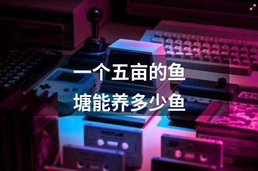 一个五亩的鱼塘能养多少鱼-第1张-游戏信息-龙启网