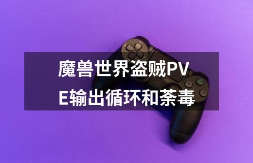 魔兽世界盗贼PVE输出循环和荼毒-第1张-游戏信息-龙启网