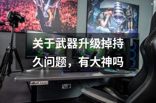 关于武器升级掉持久问题,有大神吗-第1张-游戏信息-龙启网