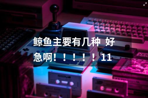 鲸鱼主要有几种 好急啊!!!!!11-第1张-游戏信息-龙启网