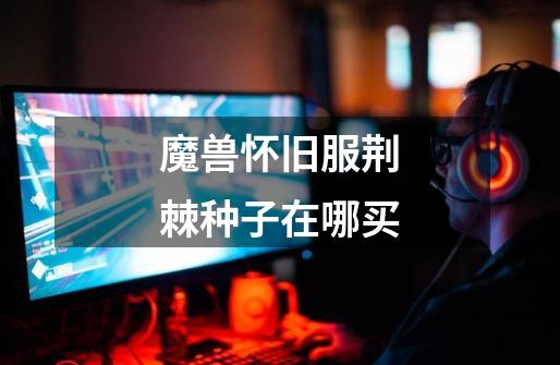 魔兽怀旧服荆棘种子在哪买-第1张-游戏信息-龙启网