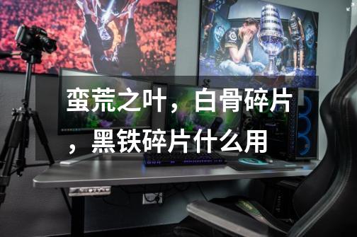 蛮荒之叶,白骨碎片,黑铁碎片什么用-第1张-游戏信息-龙启网