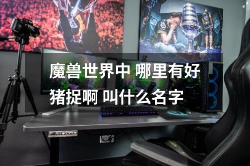 魔兽世界中 哪里有好猪捉啊 叫什么名字-第1张-游戏信息-龙启网
