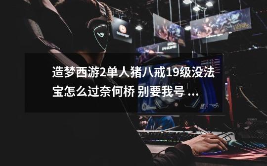 造梦西游2单人猪八戒19级没法宝怎么过奈何桥 别要我号 从一开始到BOSS我花妖打不了啊。用盾打打不了多少血-第1张-游戏信息-龙启网