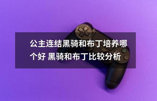 公主连结黑骑和布丁培养哪个好 黑骑和布丁比较分析-第1张-游戏信息-龙启网