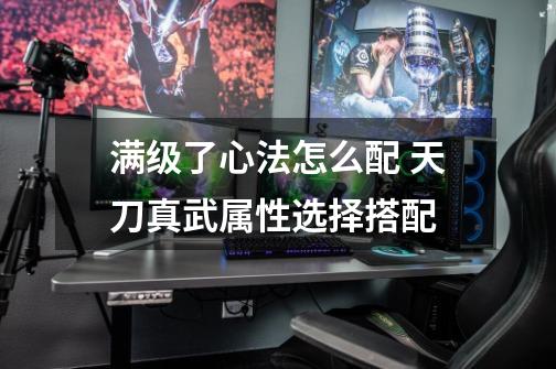 满级了心法怎么配 天刀真武属性选择搭配-第1张-游戏信息-龙启网