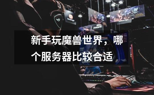 新手玩魔兽世界，哪个服务器比较合适-第1张-游戏信息-龙启网