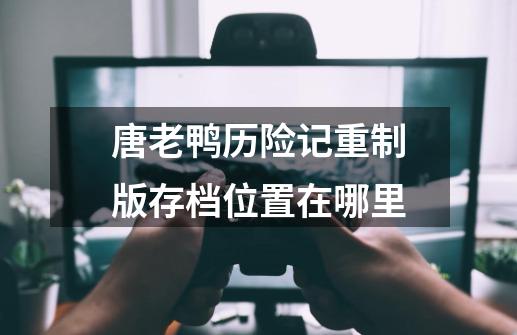 唐老鸭历险记重制版存档位置在哪里-第1张-游戏信息-龙启网