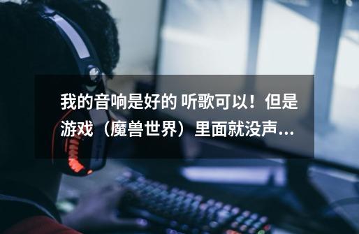 我的音响是好的 听歌可以！但是游戏（魔兽世界）里面就没声音 为什么！-第1张-游戏信息-龙启网