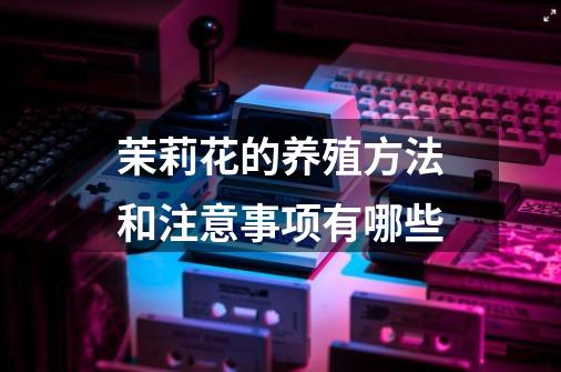 茉莉花的养殖方法和注意事项有哪些-第1张-游戏信息-龙启网