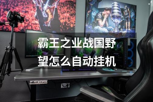 霸王之业战国野望怎么自动挂机-第1张-游戏信息-龙启网